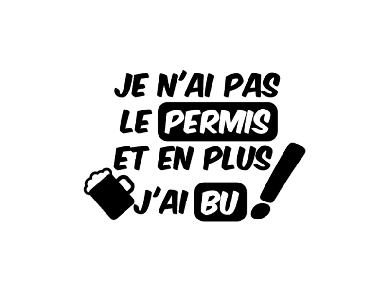 JE N'AI PAS LE PERMIS EN PLUS J'AI BU