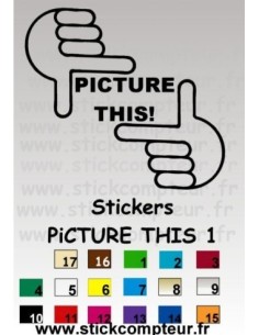 PICTURE THIS 1
