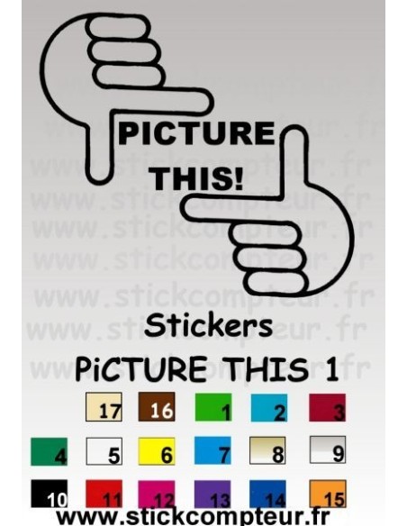 PICTURE THIS 1