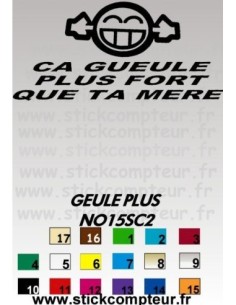 GEULE PLUS NO15SC2