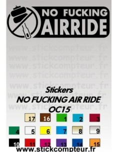 Stickers NO FUCKING AIR RIDE OC15