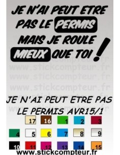 JE N'AI PEUT ETRE PAS LE PERMIS*