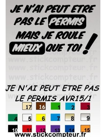 JE N'AI PEUT ETRE PAS LE PERMIS*