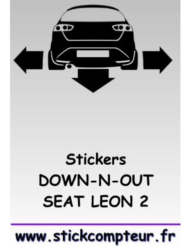 1 stickers Down-n-out SEAT LEON 2