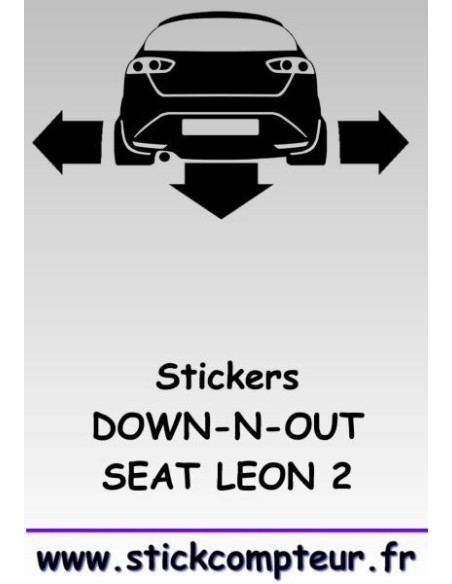1 stickers Down-n-out SEAT LEON 2
