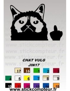 CHAT VULG JIN17