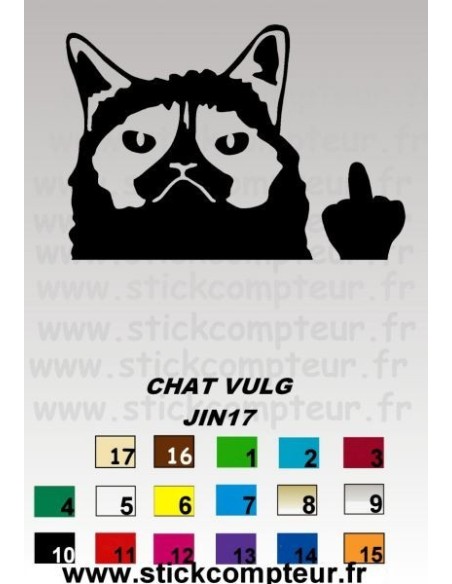 CHAT VULG JIN17