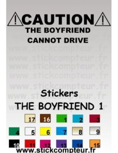 THE BOYFRIEND 1