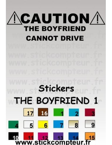 THE BOYFRIEND 1