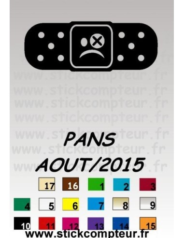 PANS AOUT 2015