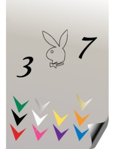 Autocollant 307 PLAYBOY 6