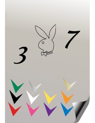 Autocollant 307 PLAYBOY 6