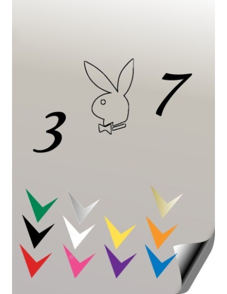 Autocollant 307 PLAYBOY 6