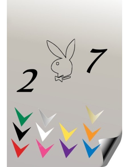 Autocollant 207 PLAYBOY 4