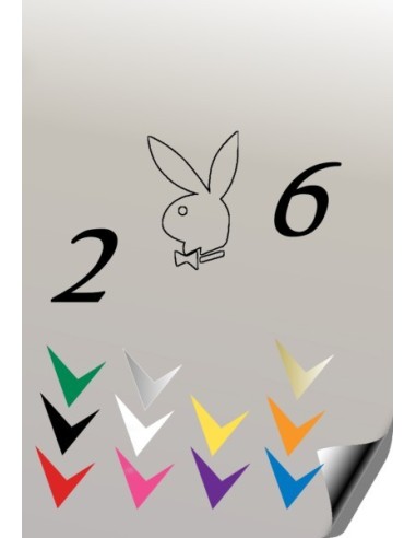 Autocollant 206 PLAYBOY 3