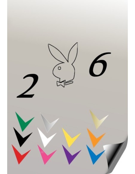 Autocollant 206 PLAYBOY 3