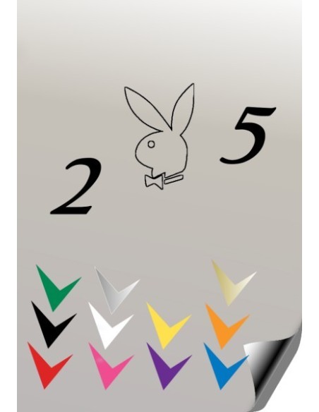 Autocollant 205 PLAYBOY 2