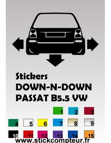 1 stickers Down-N-Out PASSAT B5.5 BREAK (1)