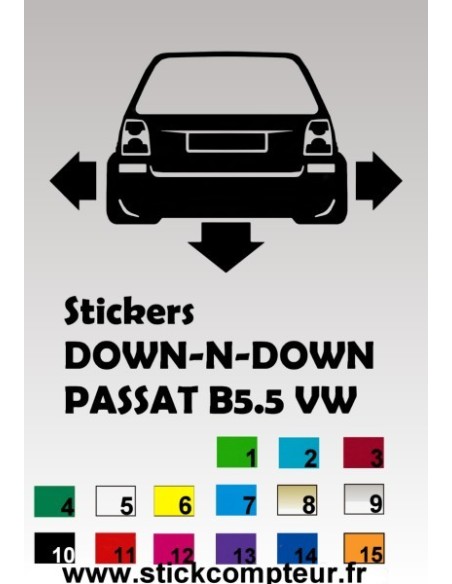1 stickers Down-N-Out PASSAT B5.5 BREAK (1)