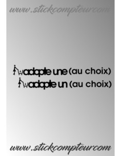 ADOPTE UNE OU UN (TEXTE AU CHOIX )