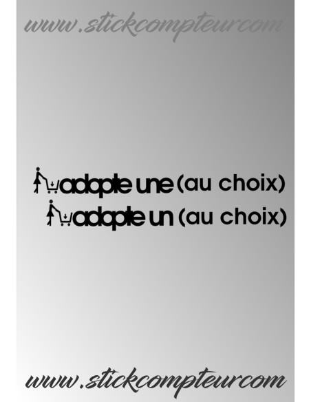 ADOPTE UNE OU UN (TEXTE AU CHOIX )