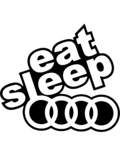 AUDI STICKERS 008*