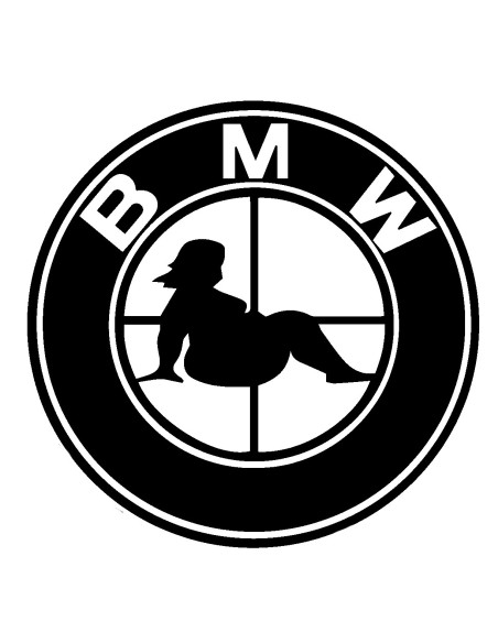 BMW STICKERS BIG BIG  LOGO 1*
