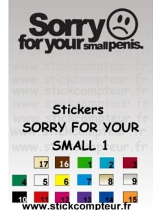 Stickers SORRY FOR YOUR 1