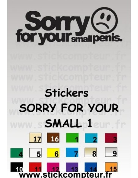 Stickers SORRY FOR YOUR 1